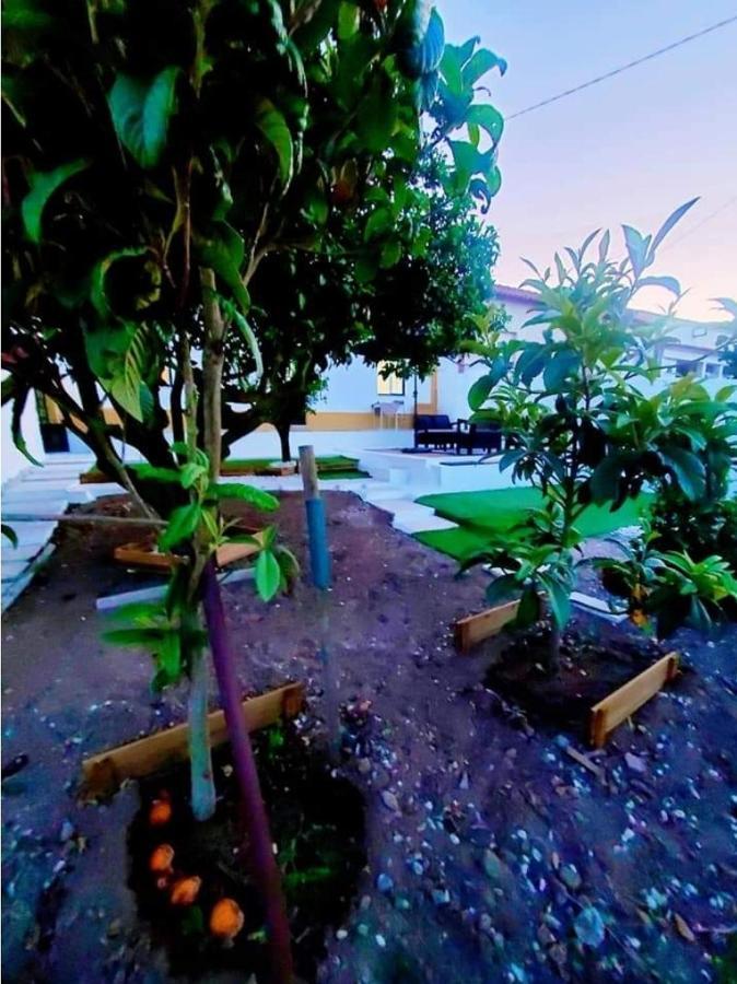 Вилла Casa Da Laranjeira Vale Covo  Экстерьер фото