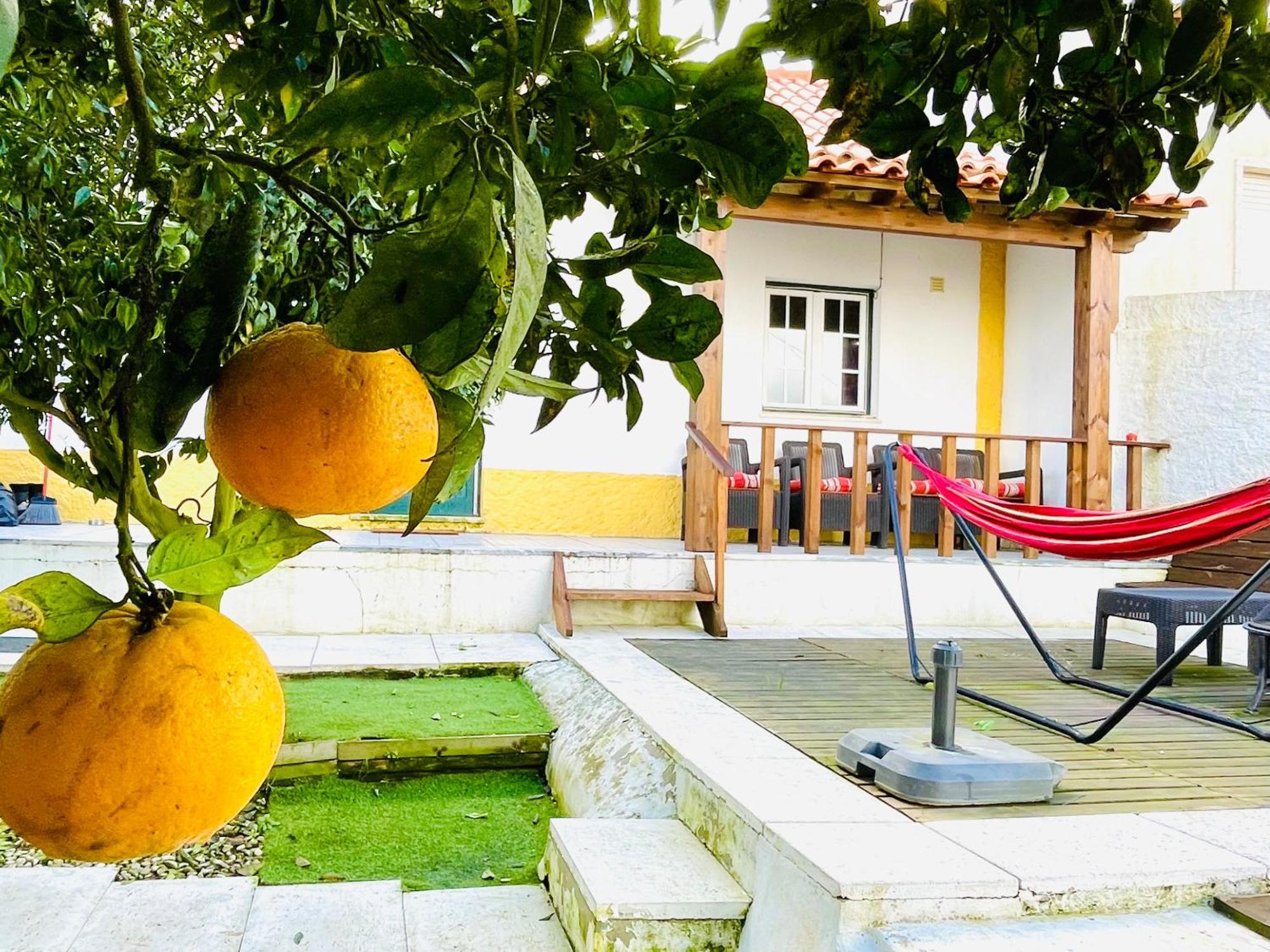 Вилла Casa Da Laranjeira Vale Covo  Экстерьер фото